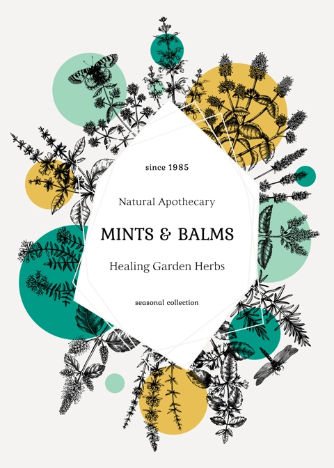 Hand-sketched Mints and Balms trendy design. Mints plants and insects illustration in collage style. Medicinal herbs and summer flowers background with geometric elements. Herbal tea ingredients